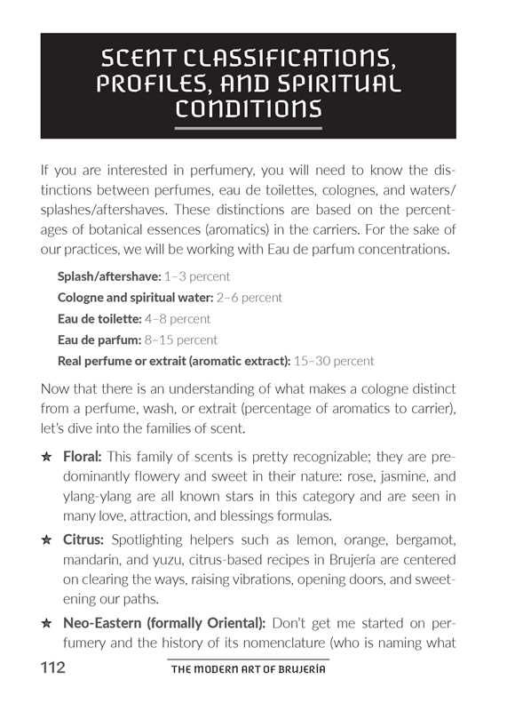 Modern Art of Brujería by Lou Florez